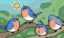 Bird Chirping GIF - Bird Chirping Singing - Discover & Share GIFs