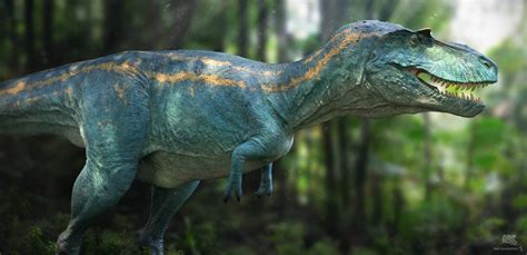 Albertosaurus. Dino Dana.2 by Swordlord3d on DeviantArt