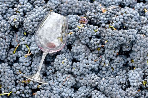 The 14 Best Pinot Noirs to Drink in 2021