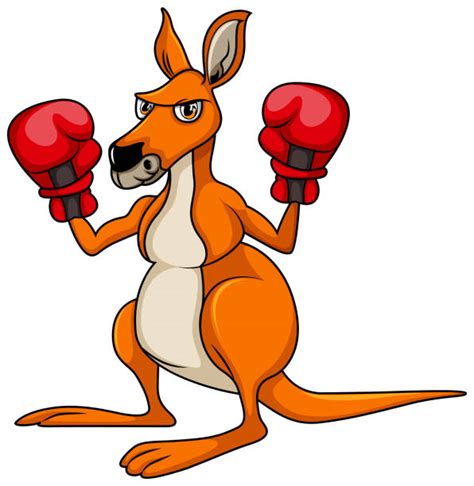 130+ Boxing Kangaroo Cartoon Stock Illustrations, Royalty-Free Vector Graphics & Clip Art - iStock