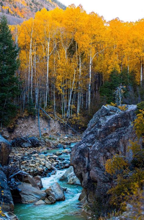 Forest Waterfall. Photo by Unsplash. Source freerangestock.com | Nature pictures, Autumn ...