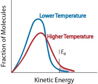 Factors that Affect the Rate of Reactions | Introductory Chemistry ...