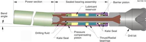 Kalsi Seals in Mud Motors