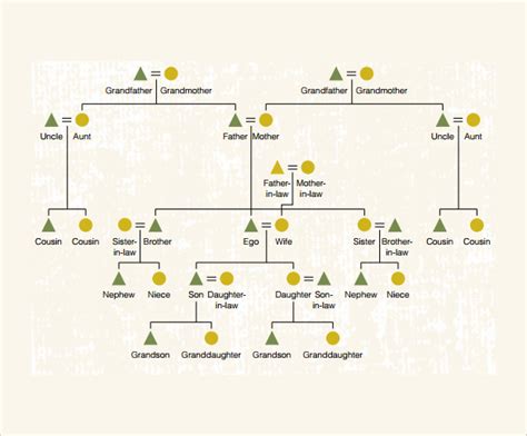 FREE 9+ Sample Kinship Diagram Templates in PDF | MS Word