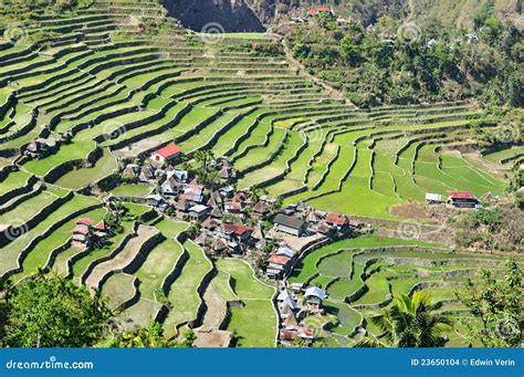 Batad Rice Terraces Stock Images - Image: 23650104