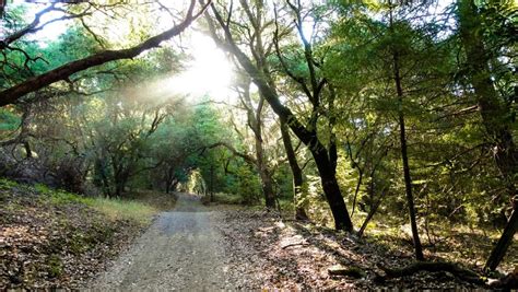 Shiloh Ranch Regional Park – Healdsburg is Heavenly