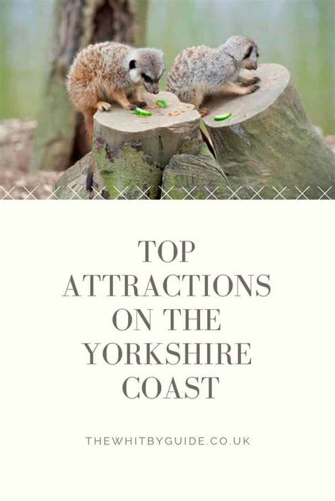 Top 50 Attractions on the Yorkshire Coast for your enjoyment