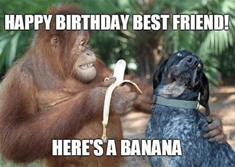 100 Funny Birthday Memes to Celebrate Another Year Around the Sun | Funny happy birthday meme ...