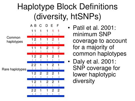 PPT - Haplotype Blocks: or how I learned to stop worrying and love the recombination hotspot ...