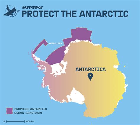 Governments are deciding whether to create an Antarctic Ocean Sanctuary. What you need to know ...