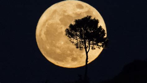 Biggest, brightest supermoon in nearly 70 years