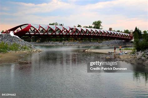 76 Peace Bridge Pedestrian Bridge In Calgary Canada Stock Photos, High-Res Pictures, and Images ...