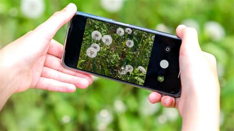 How to Identify Plants With Google Lens: Quick, Easy + FREE - Simply Smart Gardening