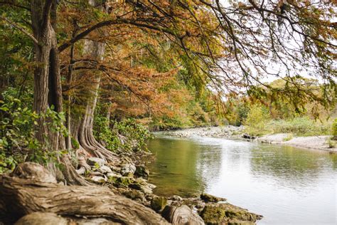 Your Guide to Visiting Guadalupe River State Park in Texas - MapQuest Travel