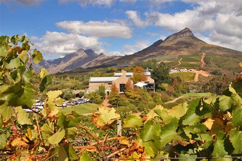 Stellenbosch Wine Farms - the Ultimate Wine Tasting Guide. - STINGY NOMADS