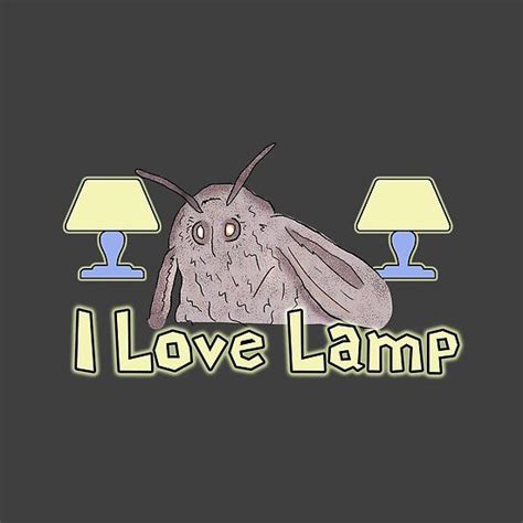 Moth Loves Lamp Meme | Memes, Moth, Cute funny animals