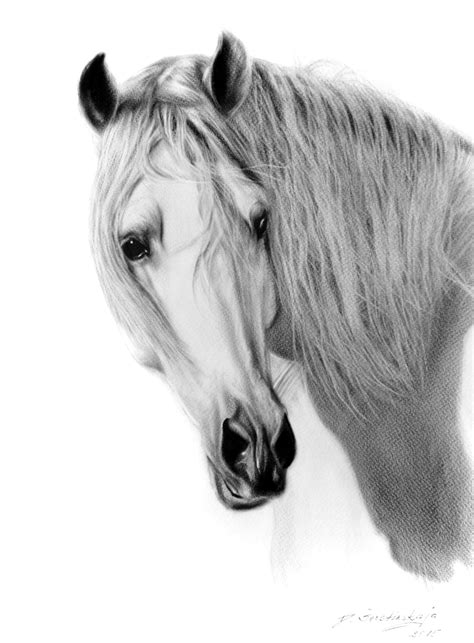 White Horse, Painting by Danguole Serstinskaja | Artmajeur