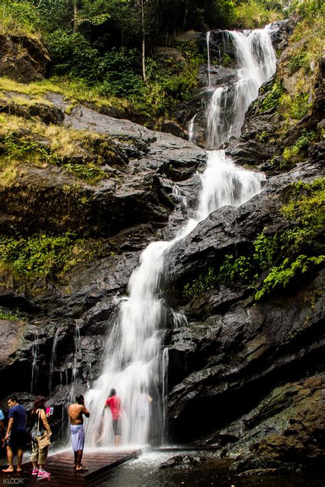 Cycling Tour To Iruppu Waterfalls And Tea Estates Of Coorg