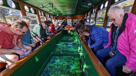 20230213 Silver Springs Glass Bottom Boat Tours – Our Next Chapter