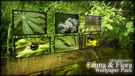 Flora and Fauna Wallpaper Pack by Melomonster on DeviantArt