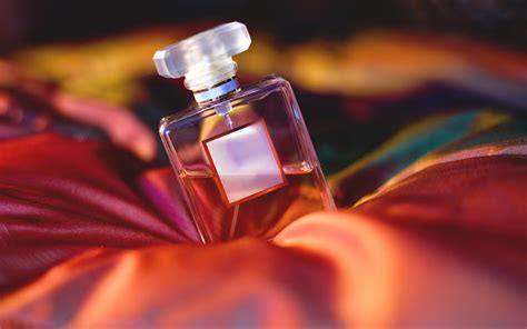 Perfume Full HD Wallpaper and Background Image | 2560x1600 | ID:392122