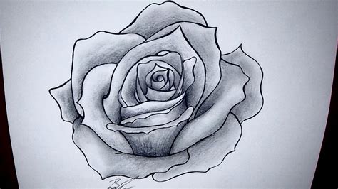 Rose Pencil Sketch