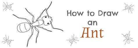 How to Draw an Ant - Step-by-Step Drawing Tutorial