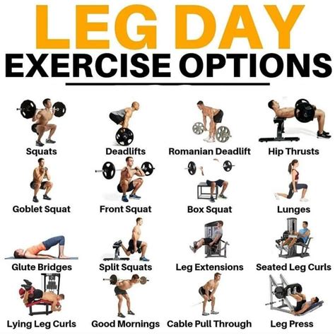 Leg Day Options | Leg workouts gym, Gym workouts for men, Leg workouts for men