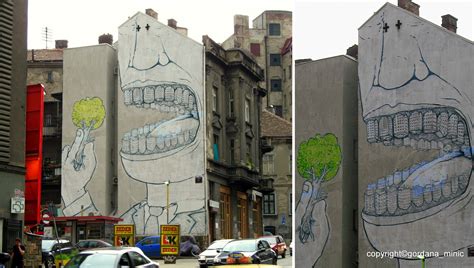 gordana minic: Street Art- Belgrade