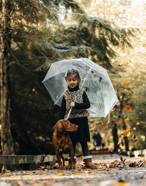 Kids Playing with their Dogs · Free Stock Photo