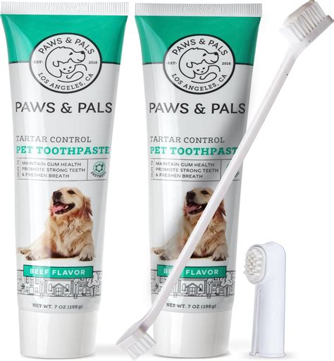 Paws & Pals Natural Beef Flavored Dog Toothpaste & Toothbrush, 2 count ...