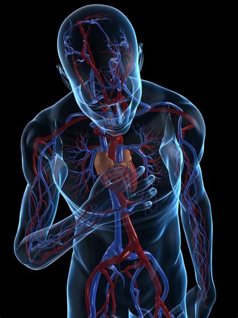 Myocardial ischemia | Australia| PDF | PPT| Case Reports | Symptoms | Treatment