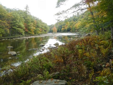 Mahican-Mohawk Trail Maps: Other Trails in Mohawk Trail State Forest