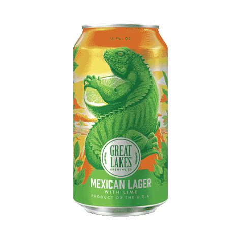 Mexican Lager GIFs on GIPHY - Be Animated