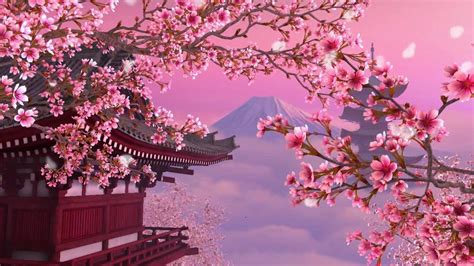 Japan Sakura Wallpapers - Top Free Japan Sakura Backgrounds ...