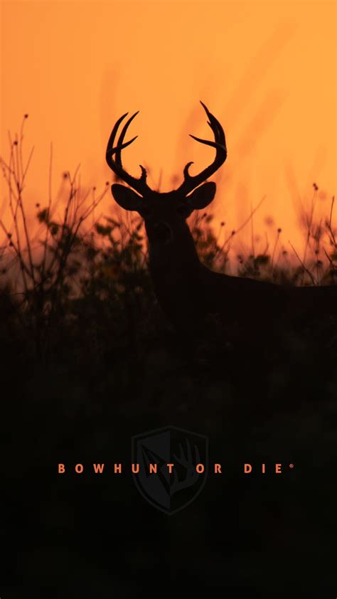 Desktop and Mobile Bowhunting Background Images | Bowhunting.com