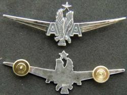 Military Insignia, balloon, Antique Militeria, Sterling wings, silver ...