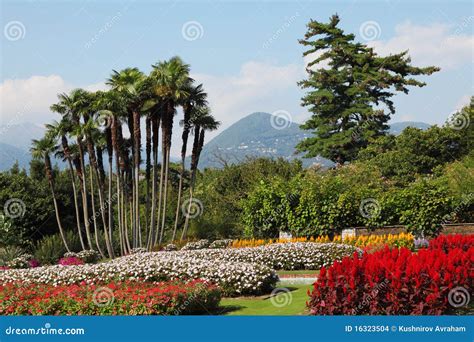 Magnificent Tranquil Landscapes Stock Photo - Image of italian, plant: 16323504