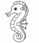 Seahorse coloring pages  ColoringLib sketch template