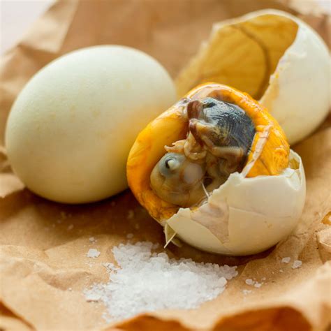 Balut