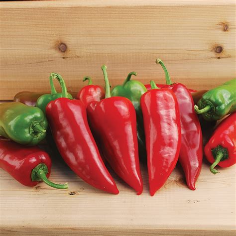 17 Flavorful Pepper Types | Jung Seed’s Gardening Blog