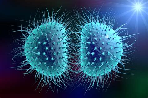 Bacterial meningitis: Symptoms, causes, and treatment