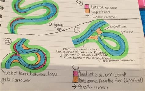 ox bow lake Flashcards | Quizlet