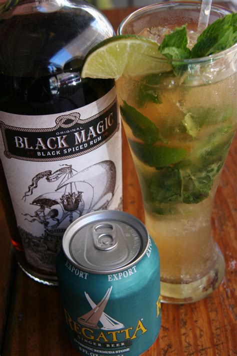 Mojito Recipe Vodka Ginger Beer - foodrecipestory