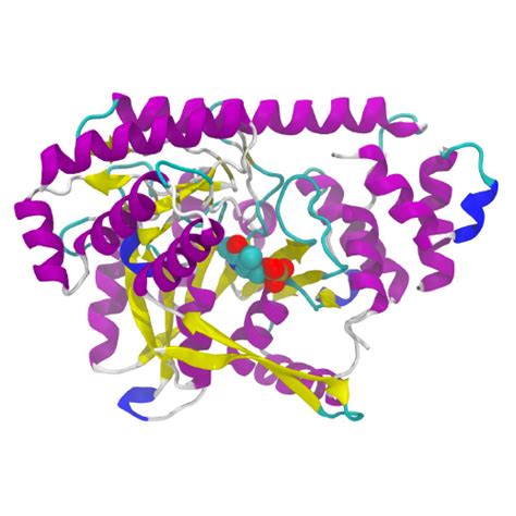 Recombinant Proteins - Premade Proteins - Products