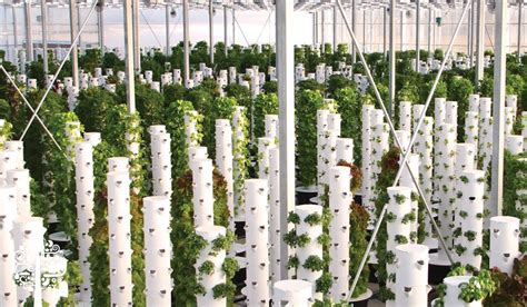 Tower Farming Technology Doing A World of Good | Garden Culture Magazine