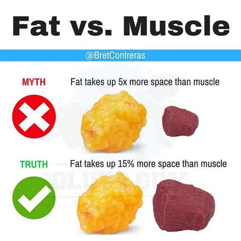 The 20 Best Nutrition and Fitness Infographics – LeanMinded