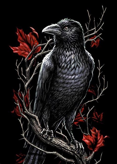 #crow on Tumblr | Crow tattoo, Raven art, Gargoyle tattoo