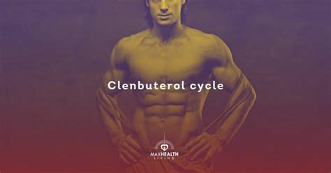 Clenbuterol Cycle Guide (women, men, beginners, dosage) – Max Health Living