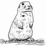 Prairie Dog Coloring Pages  Free & Printable sketch template
